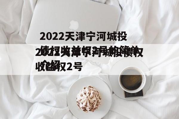 2022天津宁河城投债权收益权2号的简单介绍