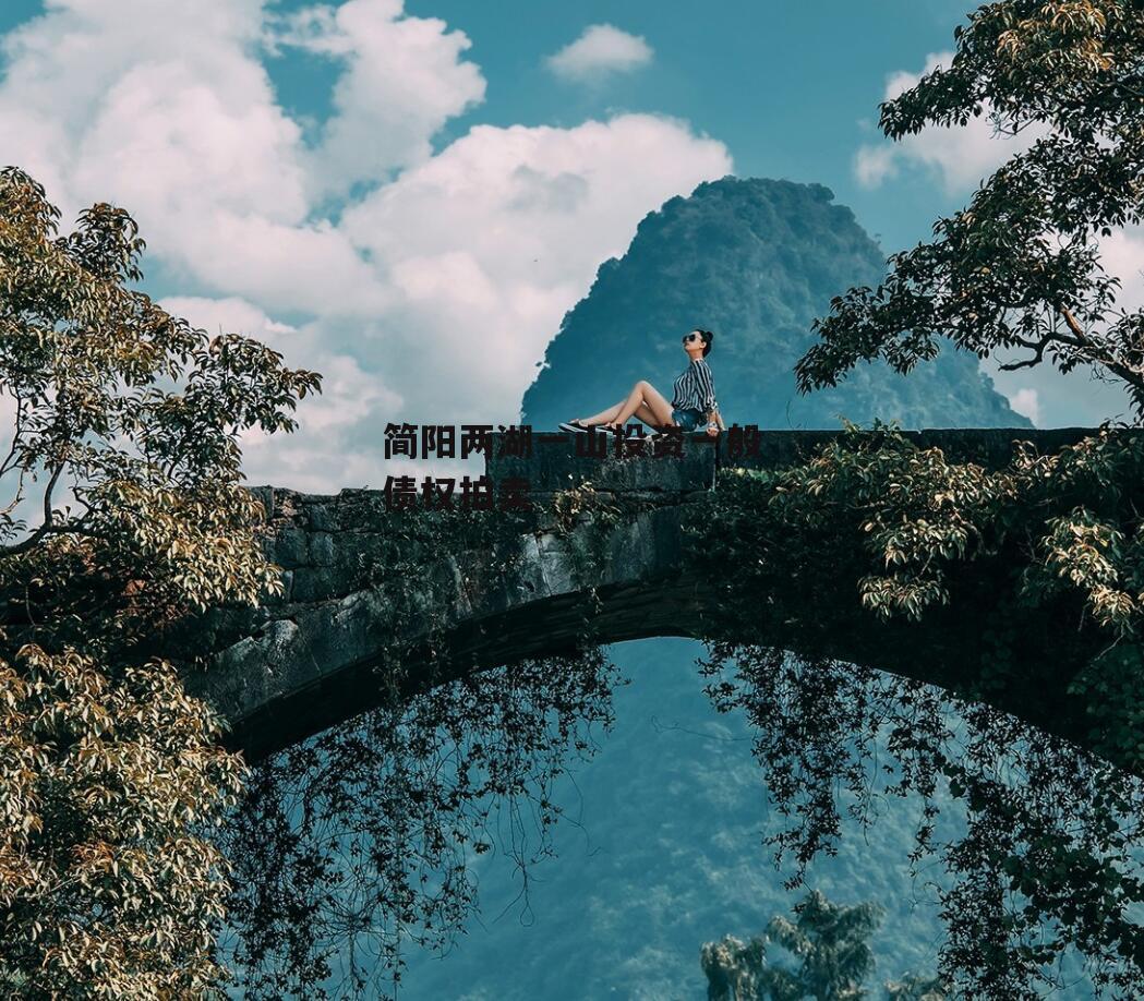 简阳两湖一山投资一般债权拍卖