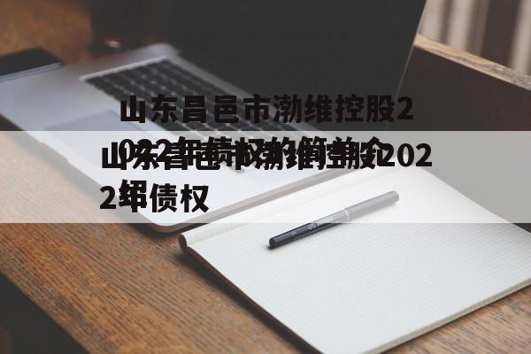 山东昌邑市渤维控股2022年债权的简单介绍