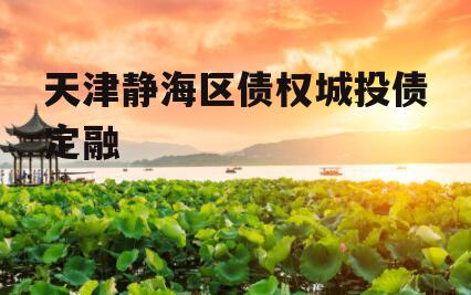 天津静海区债权城投债定融