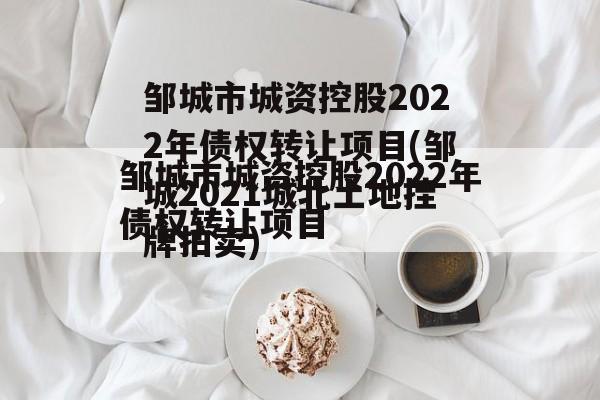 邹城市城资控股2022年债权转让项目(邹城2021城北土地挂牌拍卖)