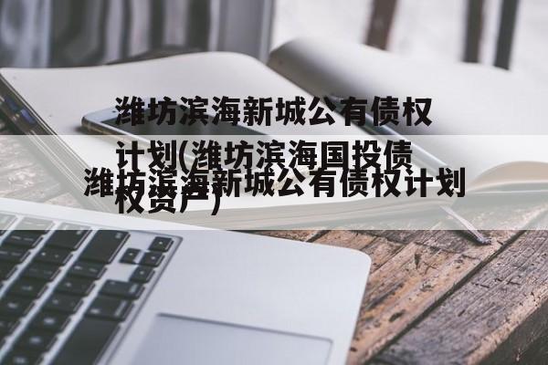 潍坊滨海新城公有债权计划(潍坊滨海国投债权资产)