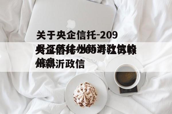 关于央企信托-209号江苏徐州新沂政信的信息