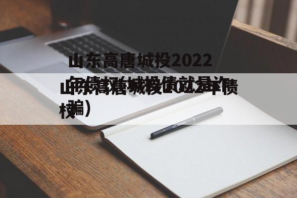 山东高唐城投2022年债权(城投债就是诈骗)