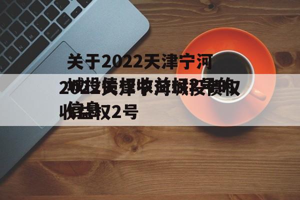 关于2022天津宁河城投债权收益权2号的信息