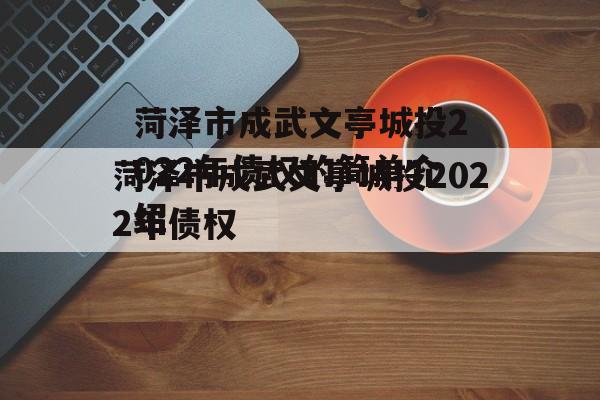 菏泽市成武文亭城投2022年债权的简单介绍