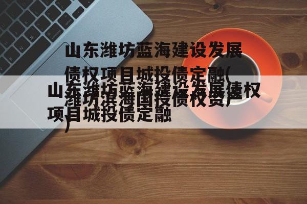 山东潍坊蓝海建设发展债权项目城投债定融(潍坊滨海国投债权资产)