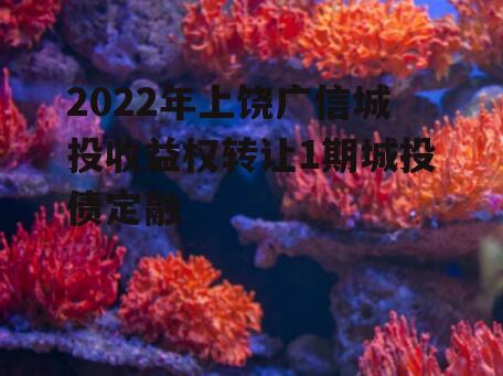 2022年上饶广信城投收益权转让1期城投债定融