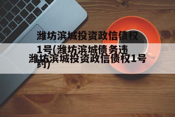 潍坊滨城投资政信债权1号(潍坊滨城债务违约)