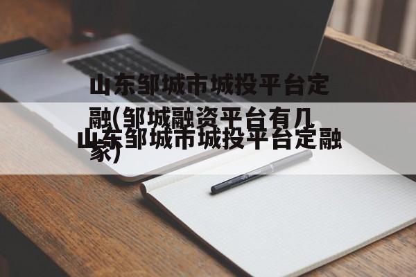 山东邹城市城投平台定融(邹城融资平台有几家)