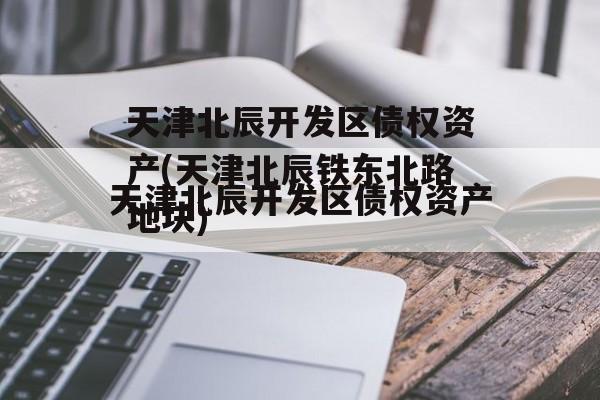 天津北辰开发区债权资产(天津北辰铁东北路地块)