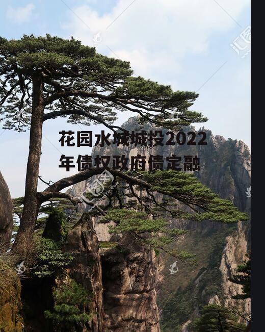 花园水城城投2022年债权政府债定融