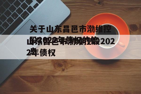 关于山东昌邑市渤维控股2022年债权的信息