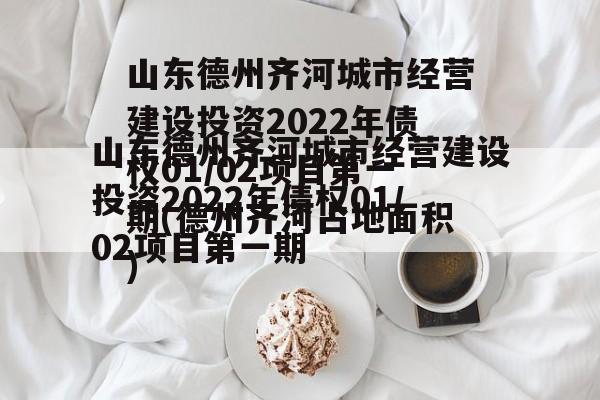 山东德州齐河城市经营建设投资2022年债权01/02项目第一期(德州齐河占地面积)