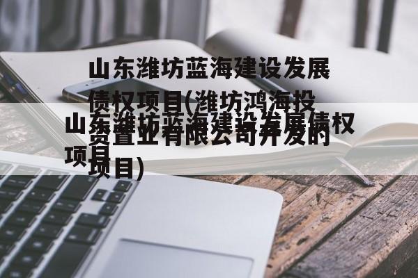 山东潍坊蓝海建设发展债权项目(潍坊鸿海投资置业有限公司开发的项目)