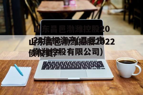 山东昌邑渤潍控股2022债权资产(昌邑市渤潍控股有限公司)