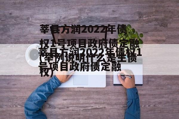 莘县方润2022年债权1号项目政府债定融(举例说明什么是主债权)