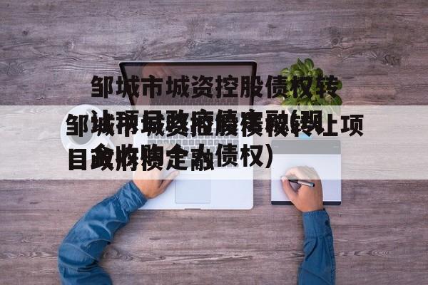 邹城市城资控股债权转让项目政府债定融(现金收购个人债权)