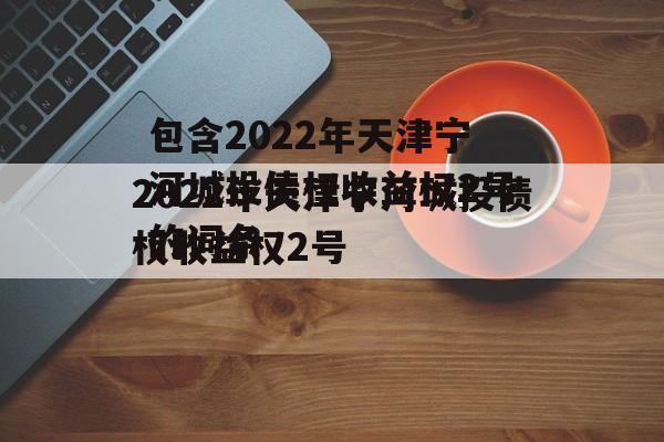 包含2022年天津宁河城投债权收益权2号的词条