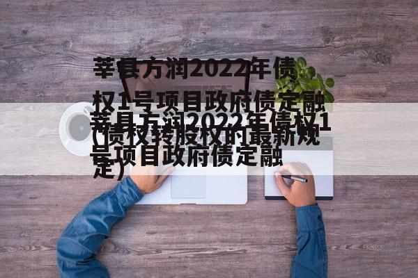 莘县方润2022年债权1号项目政府债定融(债权转股权的最新规定)