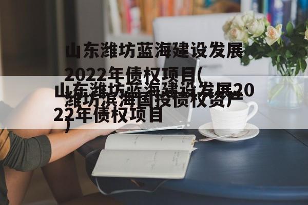 山东潍坊蓝海建设发展2022年债权项目(潍坊滨海国投债权资产)