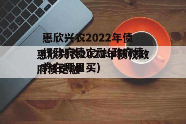 惠欣兴农2022年债权政府债定融(政府债券在哪里买)