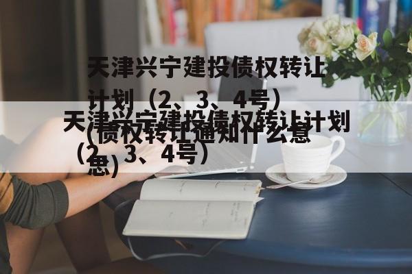 天津兴宁建投债权转让计划（2、3、4号）(债权转让通知什么意思)