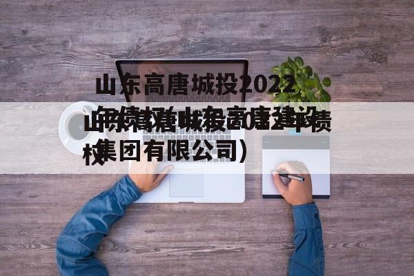 山东高唐城投2022年债权(山东高唐建设集团有限公司)