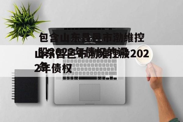 包含山东昌邑市渤维控股2022年债权的词条