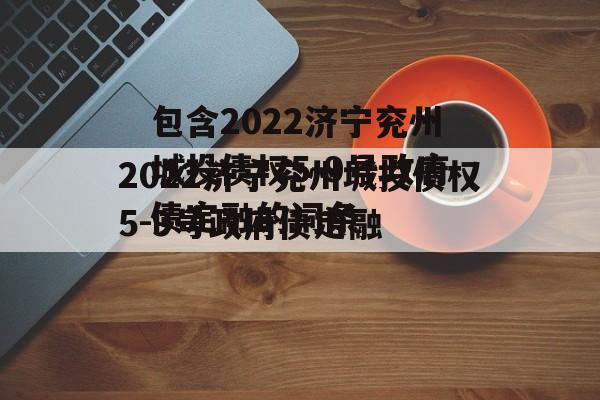 包含2022济宁兖州城投债权5-9号政府债定融的词条