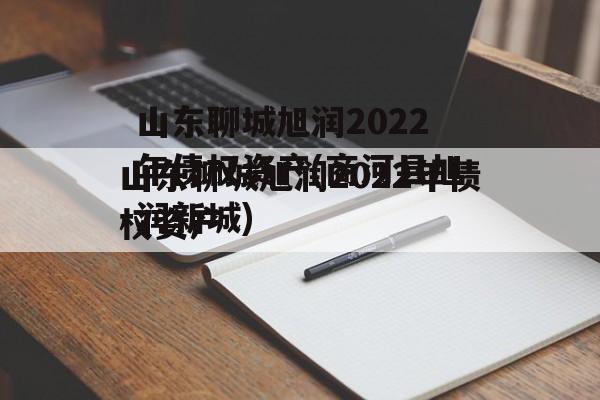 山东聊城旭润2022年债权资产(商河县旭润新城)