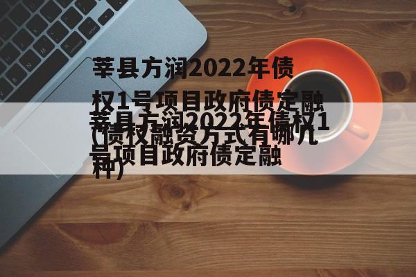 莘县方润2022年债权1号项目政府债定融(债权融资方式有哪几种)