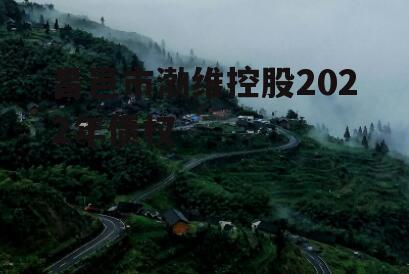 昌邑市渤维控股2022年债权