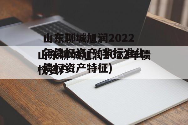 山东聊城旭润2022年债权资产(非标准化债权资产特征)