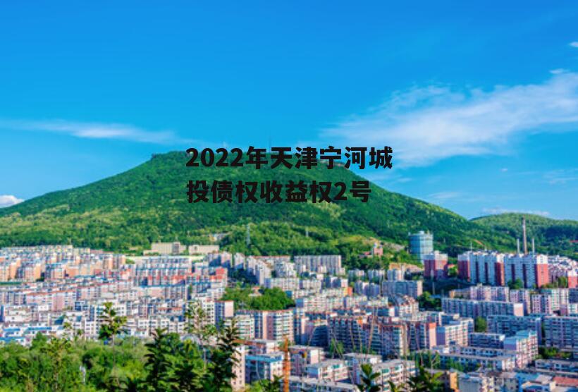 2022年天津宁河城投债权收益权2号