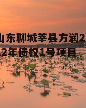 山东聊城莘县方润2022年债权1号项目