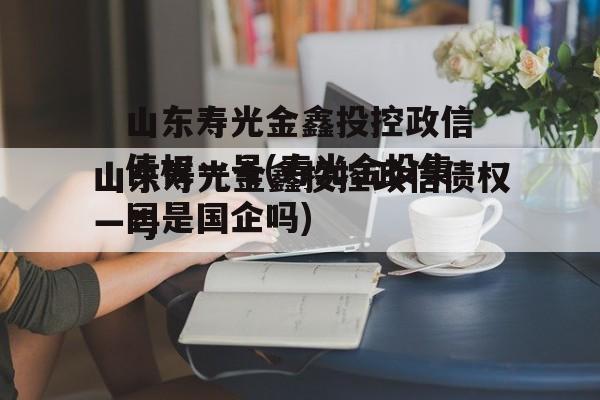 山东寿光金鑫投控政信债权一号(寿光金投集团是国企吗)