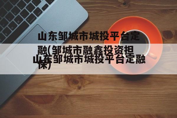 山东邹城市城投平台定融(邹城市融鑫投资担保)