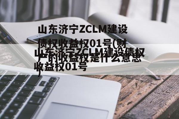 山东济宁ZCLM建设债权收益权01号(财产的收益权是什么意思)