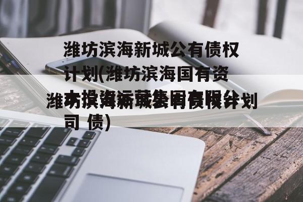 潍坊滨海新城公有债权计划(潍坊滨海国有资本投资运营集团有限公司 债)