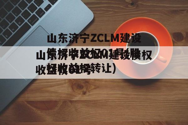 山东济宁ZCLM建设债权收益权01号(股权收益权转让)