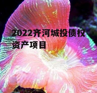 2022齐河城投债权资产项目