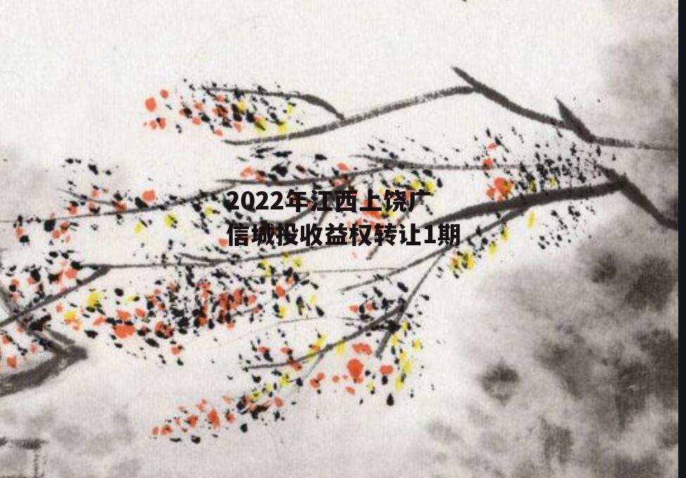 2022年江西上饶广信城投收益权转让1期