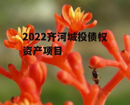 2022齐河城投债权资产项目