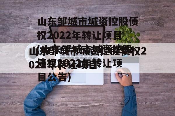 山东邹城市城资控股债权2022年转让项目(山东邹城市城资控股债权2022年转让项目公告)