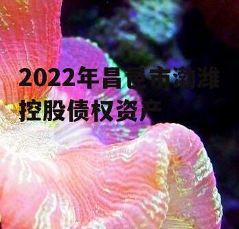 2022年昌邑市渤潍控股债权资产