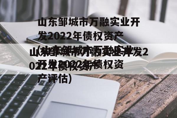 山东邹城市万融实业开发2022年债权资产(山东邹城市万融实业开发2022年债权资产评估)