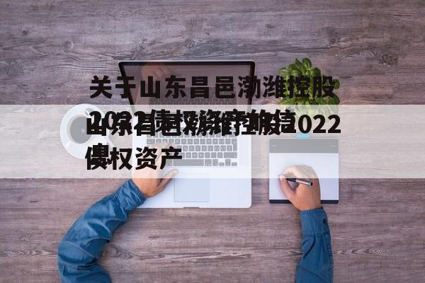 关于山东昌邑渤潍控股2022债权资产的信息