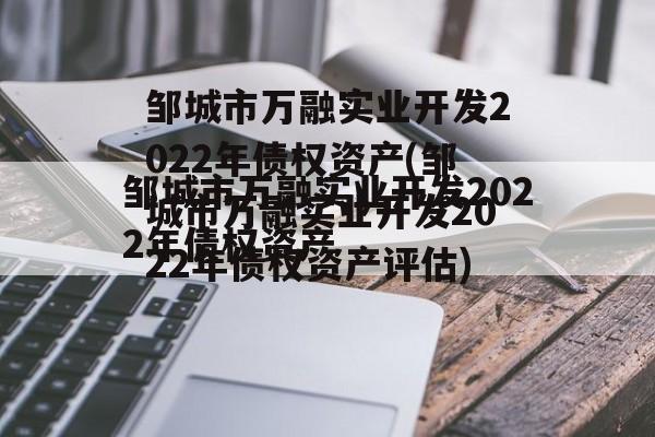 邹城市万融实业开发2022年债权资产(邹城市万融实业开发2022年债权资产评估)