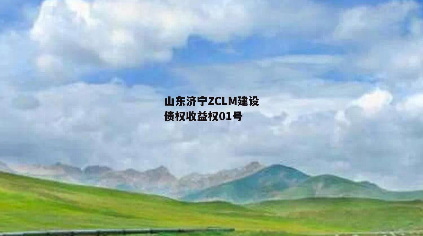 山东济宁ZCLM建设债权收益权01号